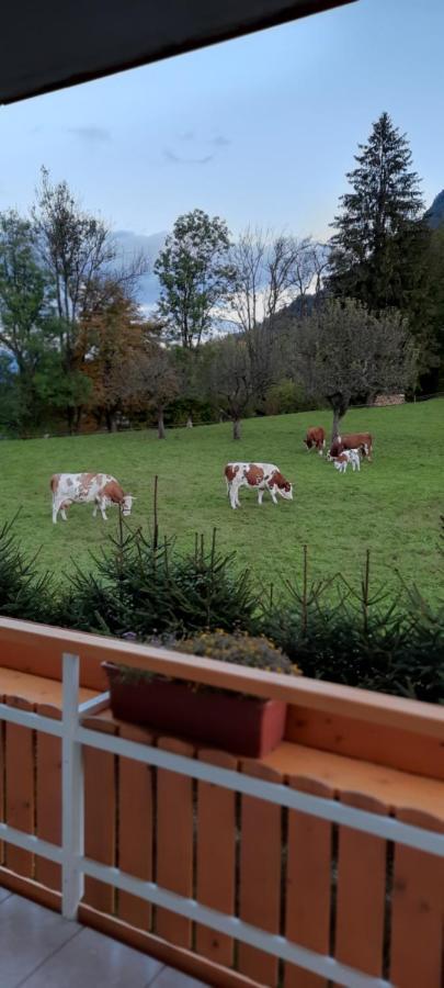 Apartma Rozle Mojstrana Esterno foto