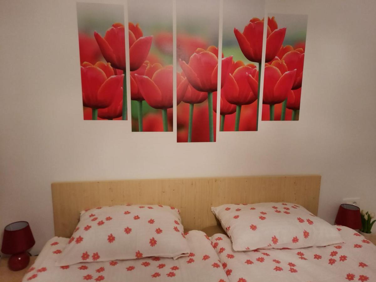 Apartma Rozle Mojstrana Esterno foto