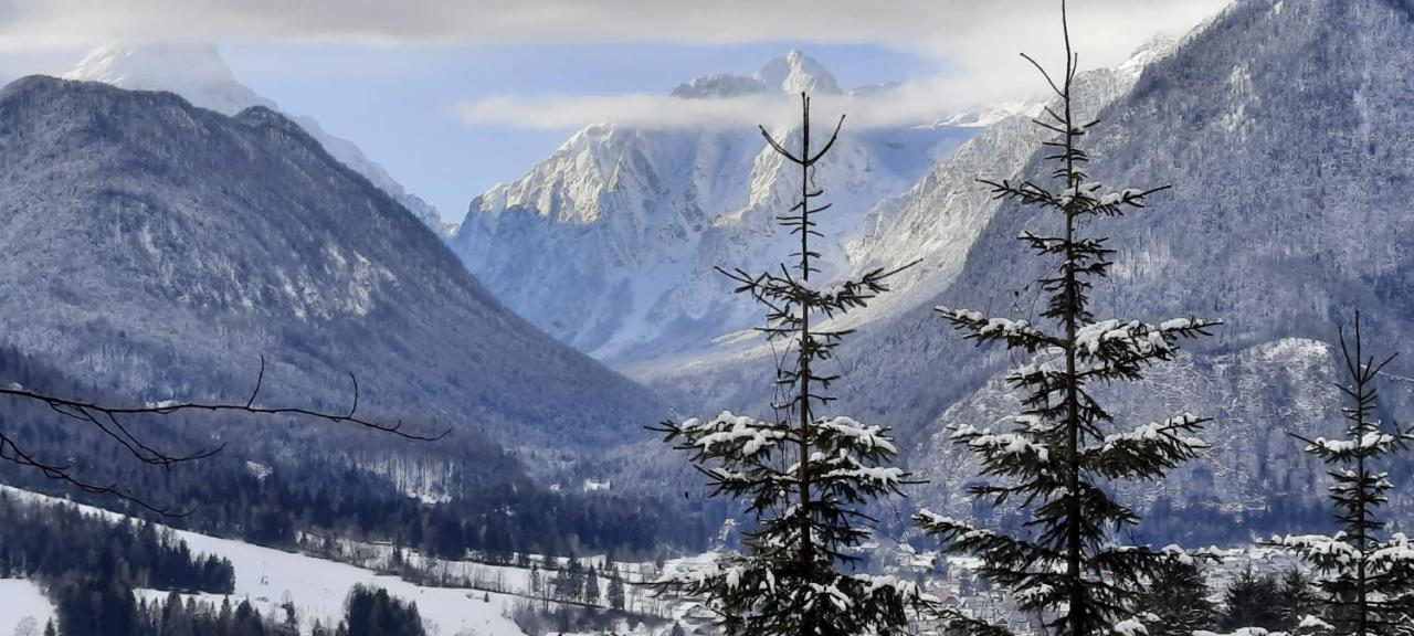 Apartma Rozle Mojstrana Esterno foto