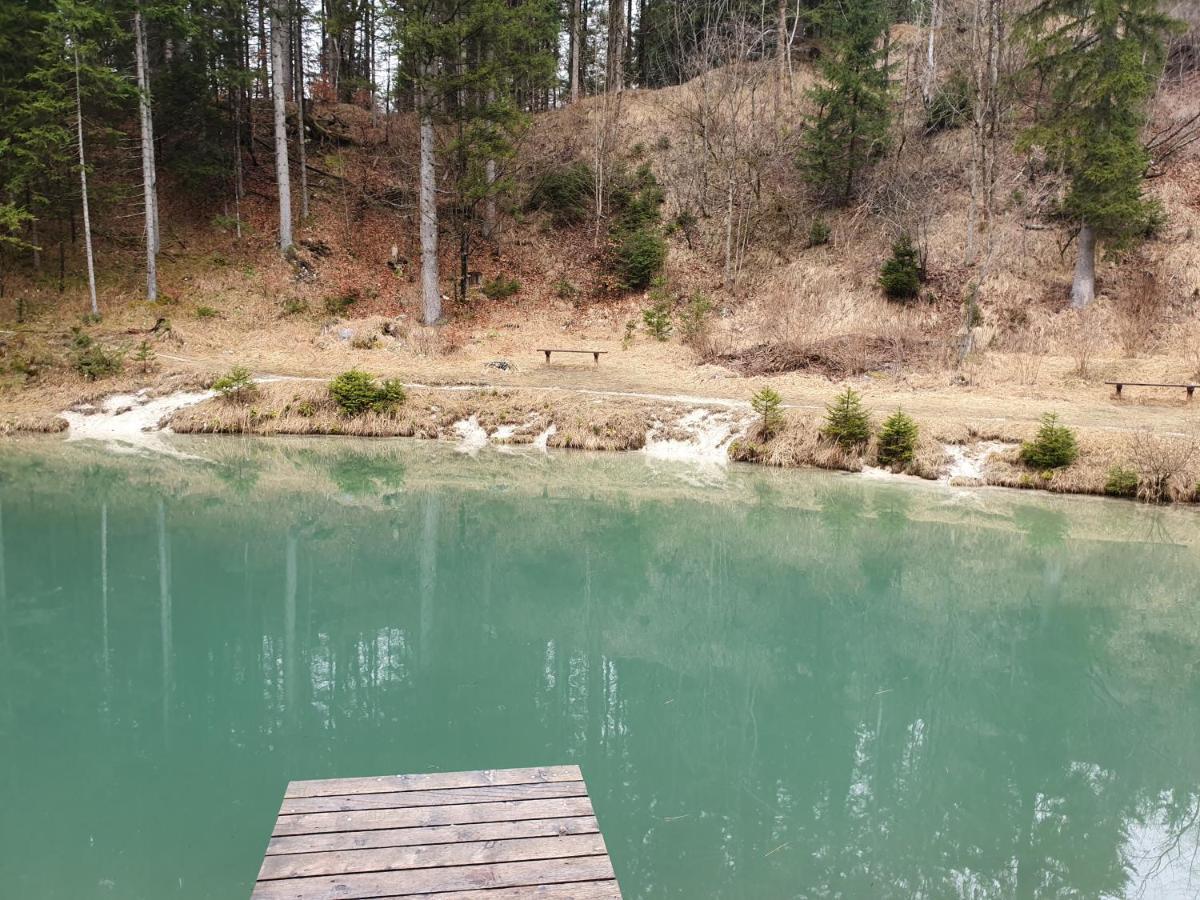 Apartma Rozle Mojstrana Esterno foto