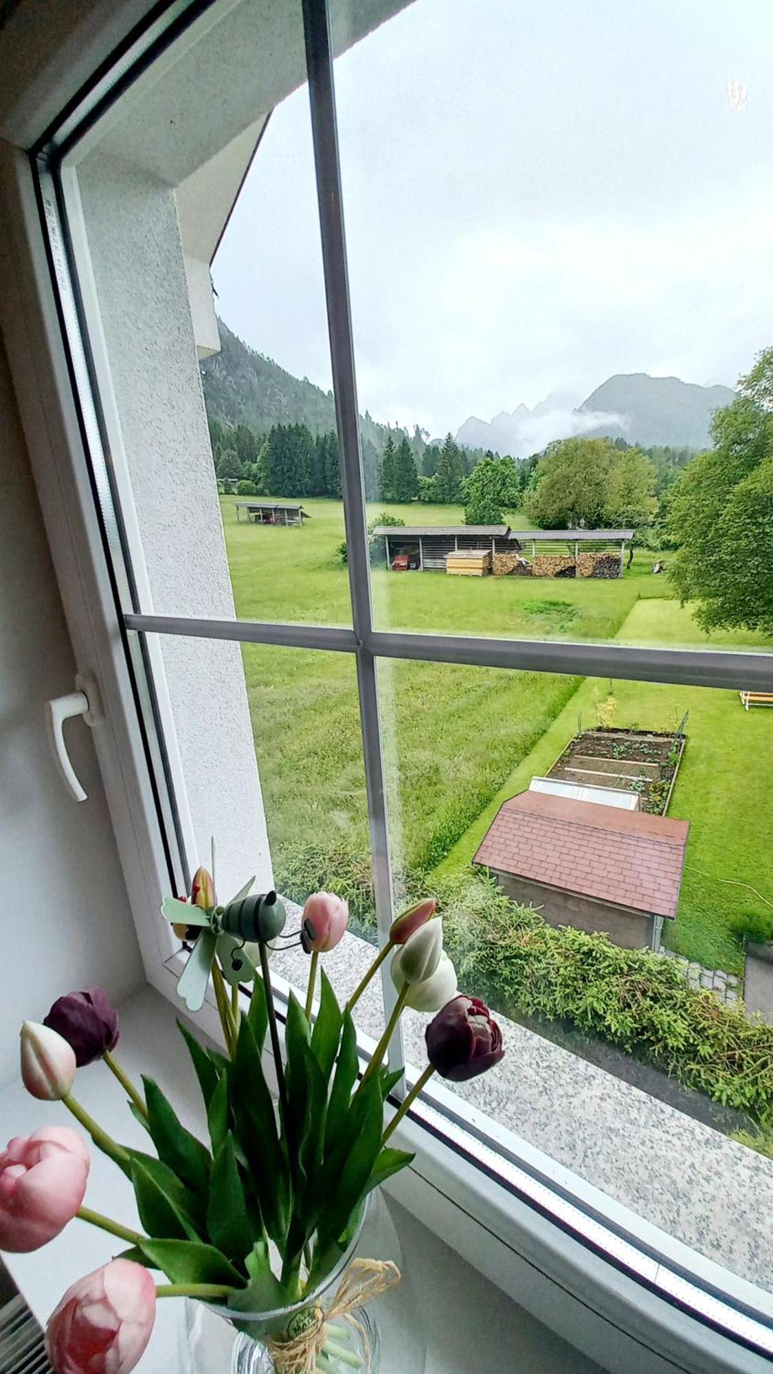 Apartma Rozle Mojstrana Esterno foto