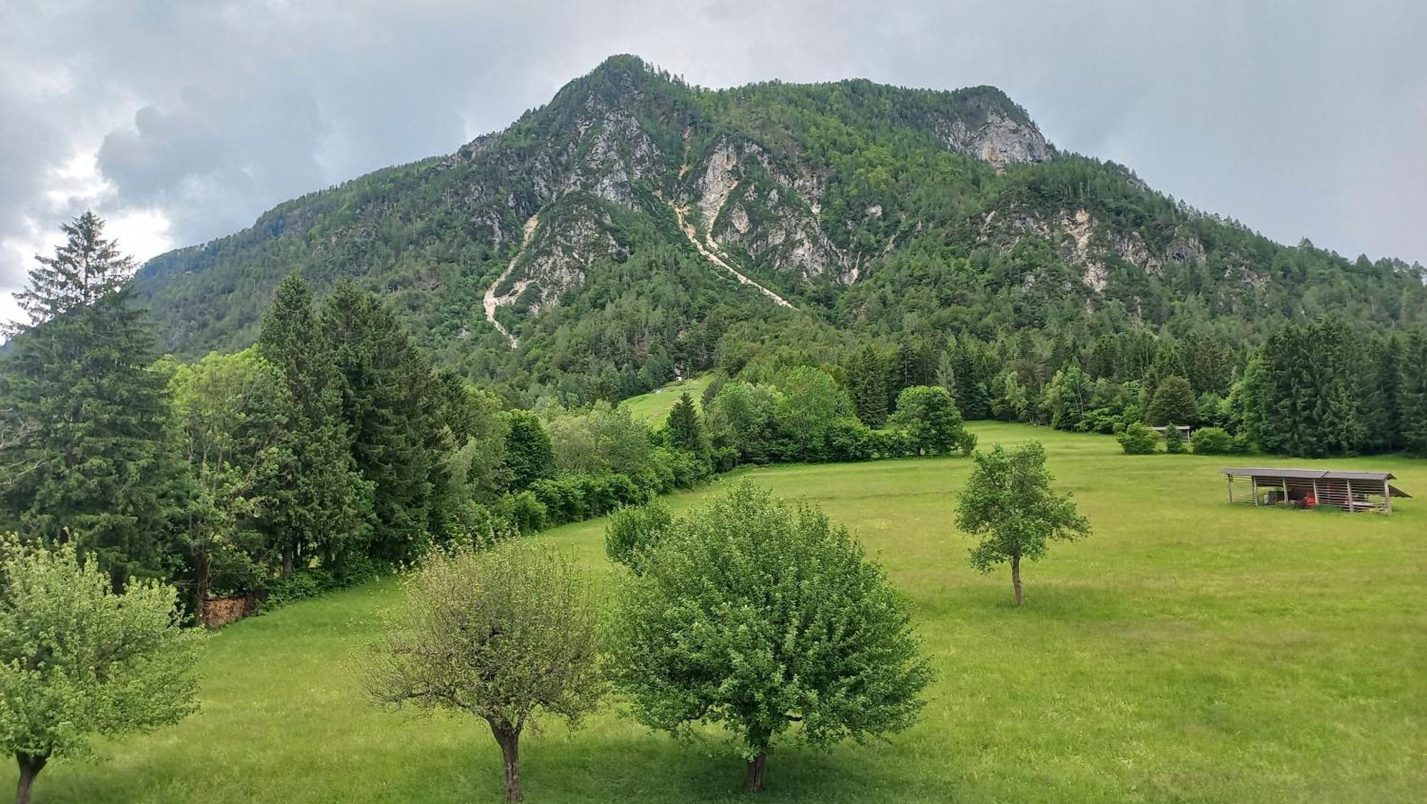 Apartma Rozle Mojstrana Camera foto