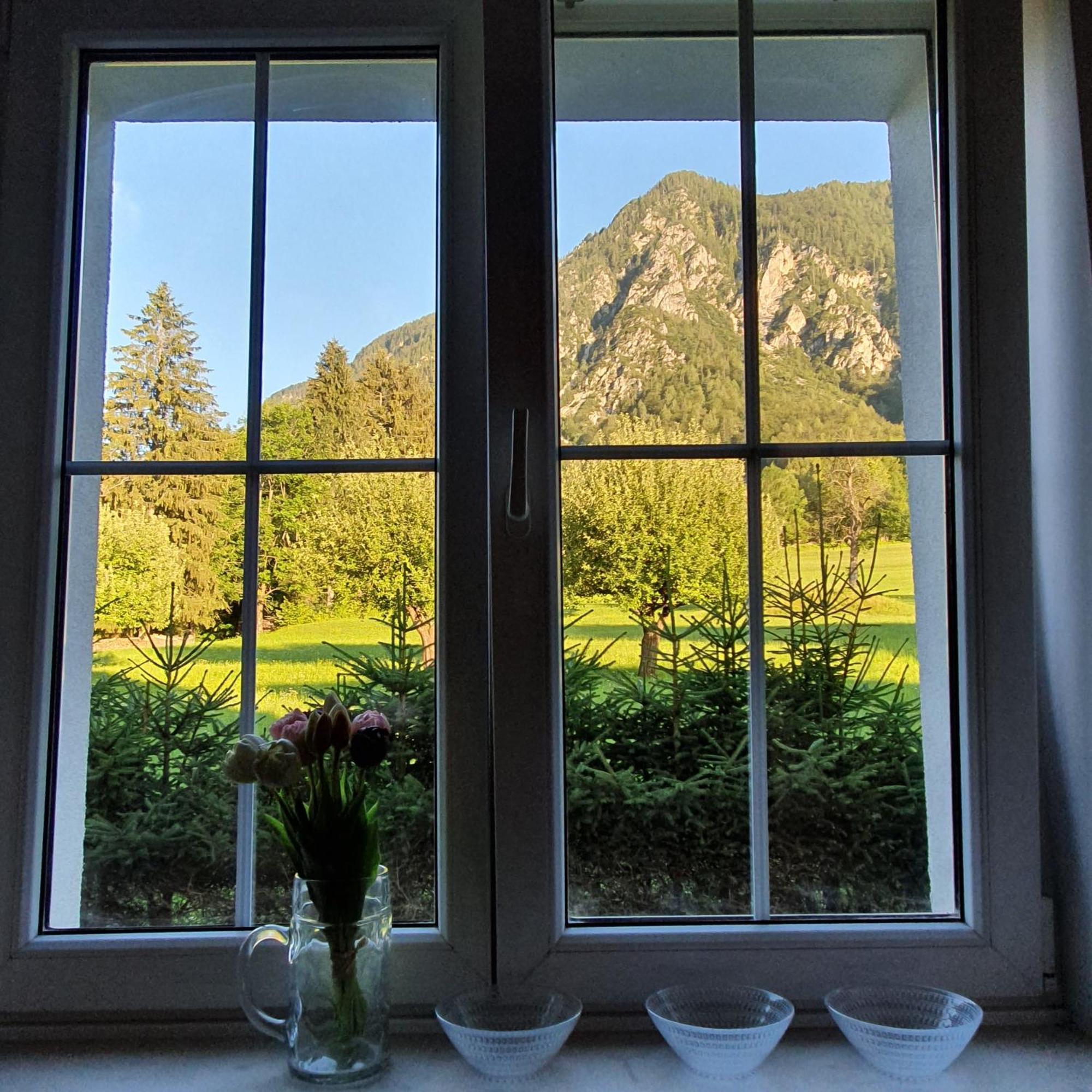 Apartma Rozle Mojstrana Esterno foto